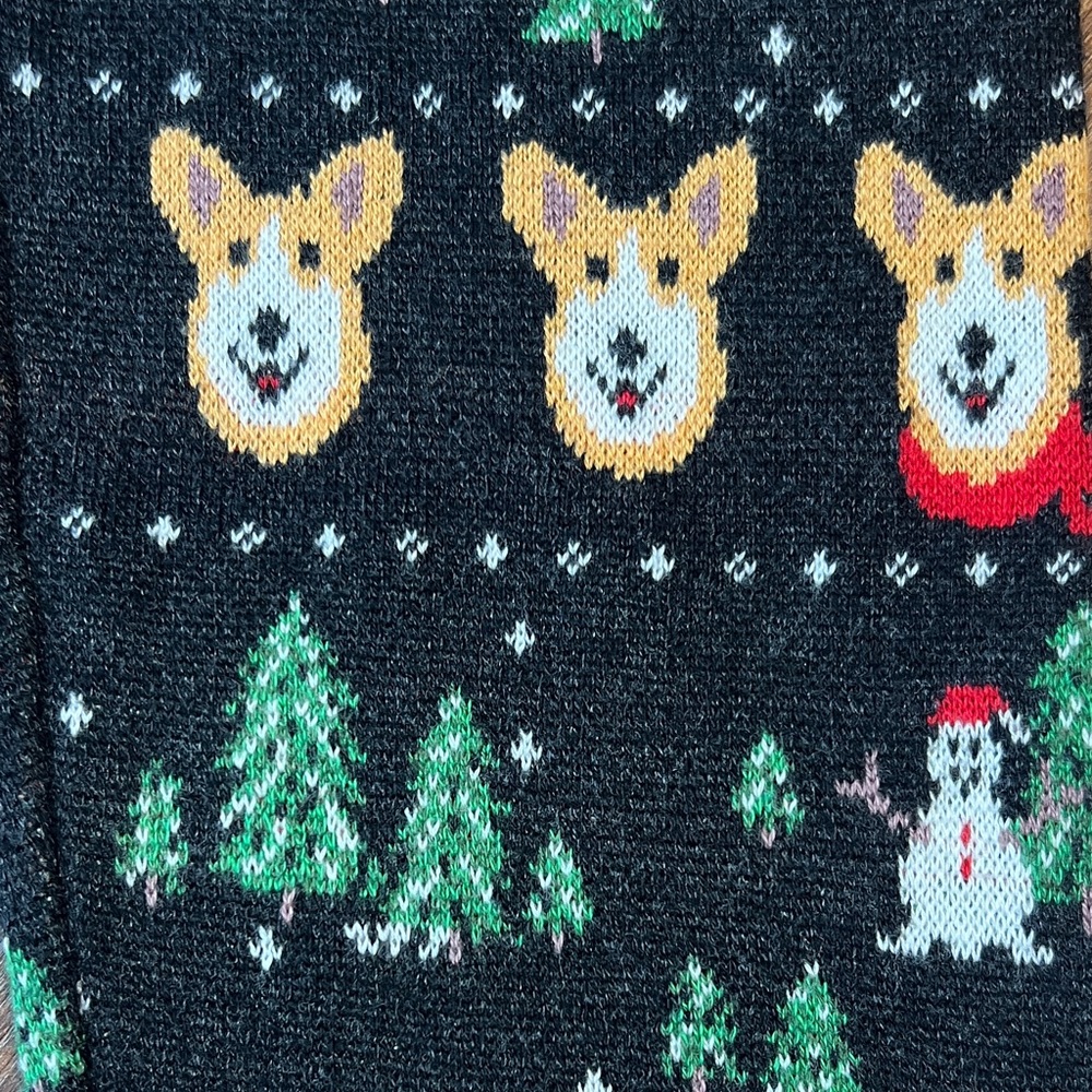 American Eagle Outfitters Corgi Knit Sweater Leggings - Picture 6 of 7